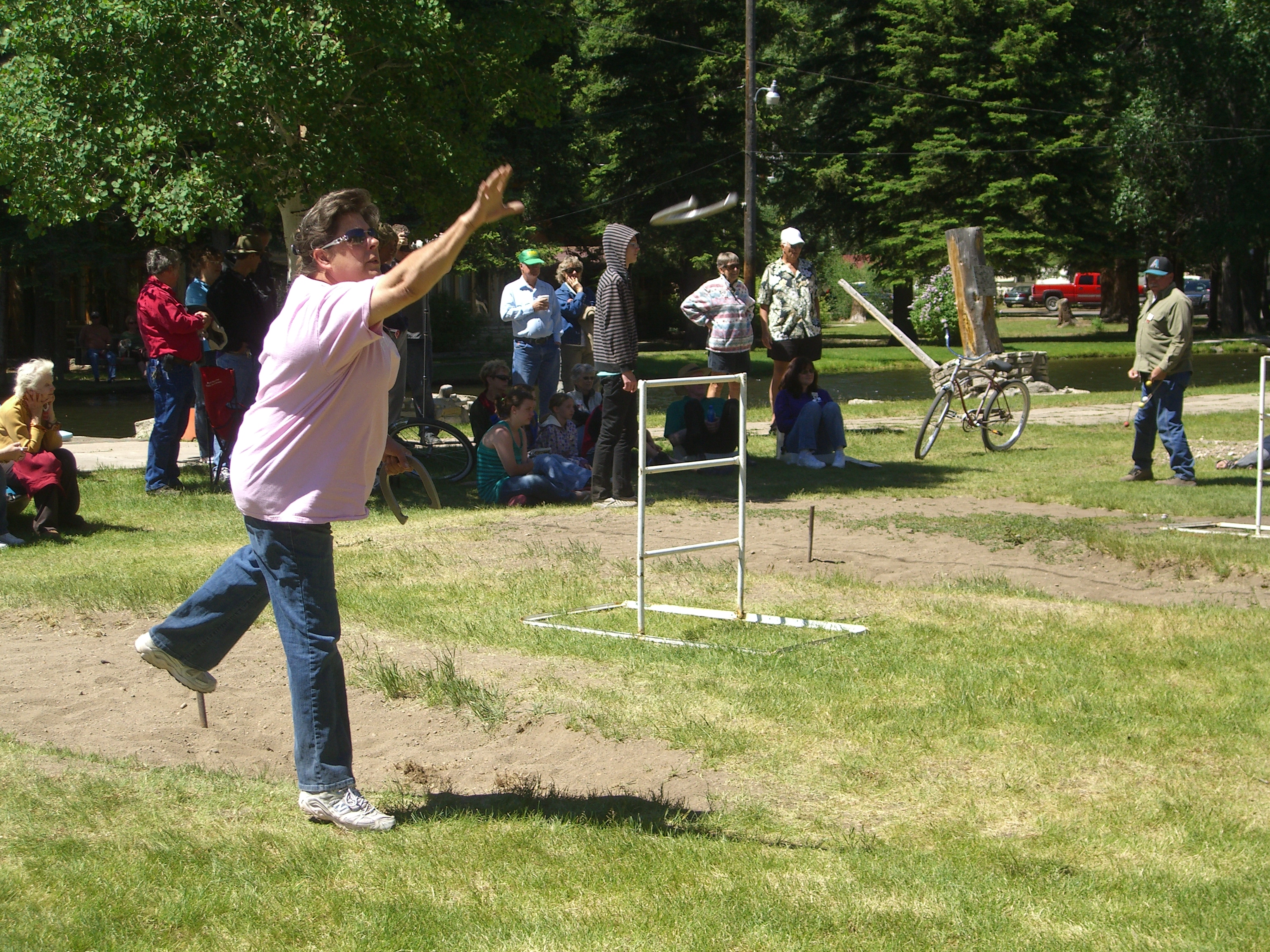Horseshoes5.JPG