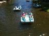 Adult Boats6.JPG