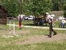 Horseshoes3.JPG