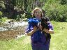 Marilyn, Big Blue Frog & 3 Legged Dog2.JPG
