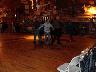 DSC00291.JPG