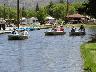 DSC01109.JPG
