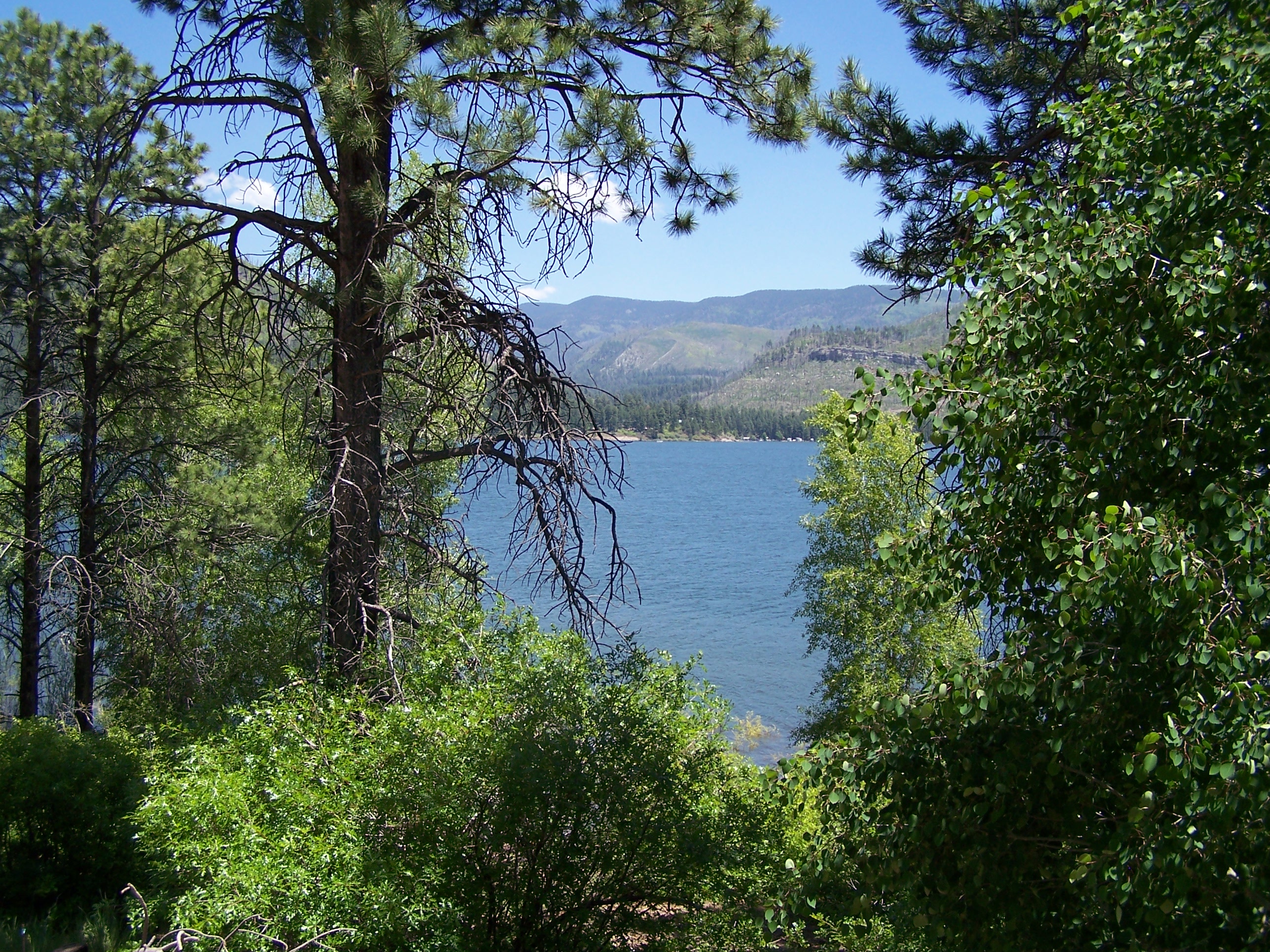 Terri 036.jpg