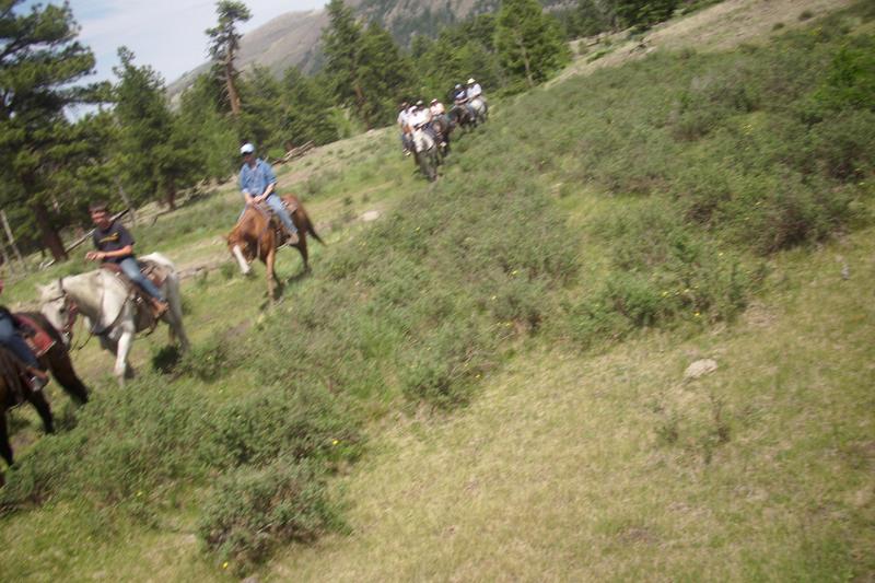 DSCI0137.jpg