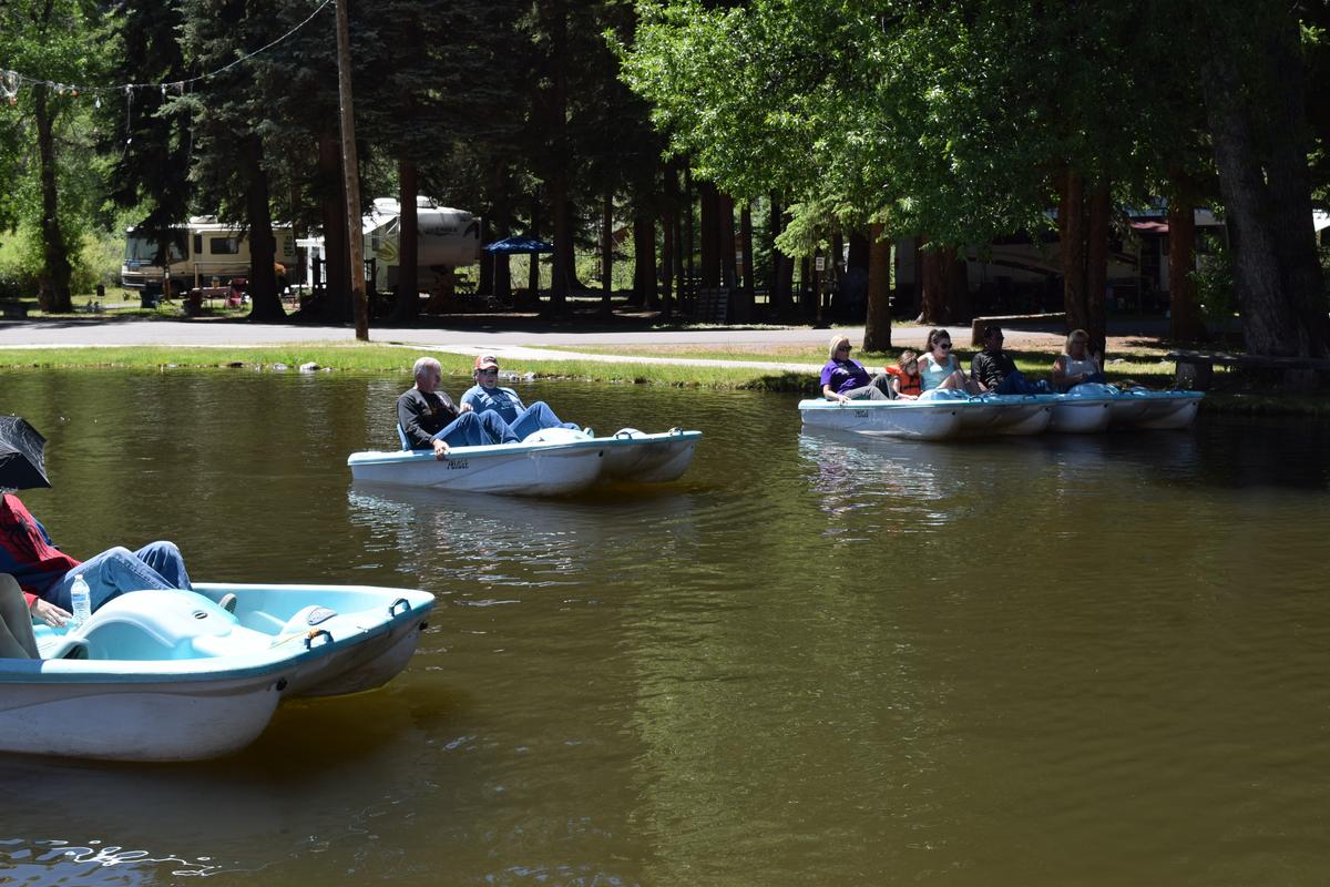 Paddle_Boat_Race__10_.jpg