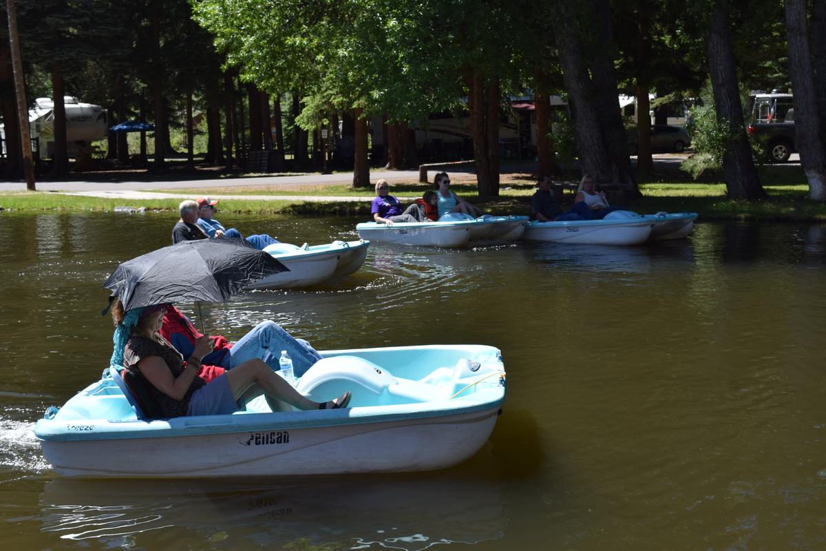 Paddle_Boat_Race__11_.jpg