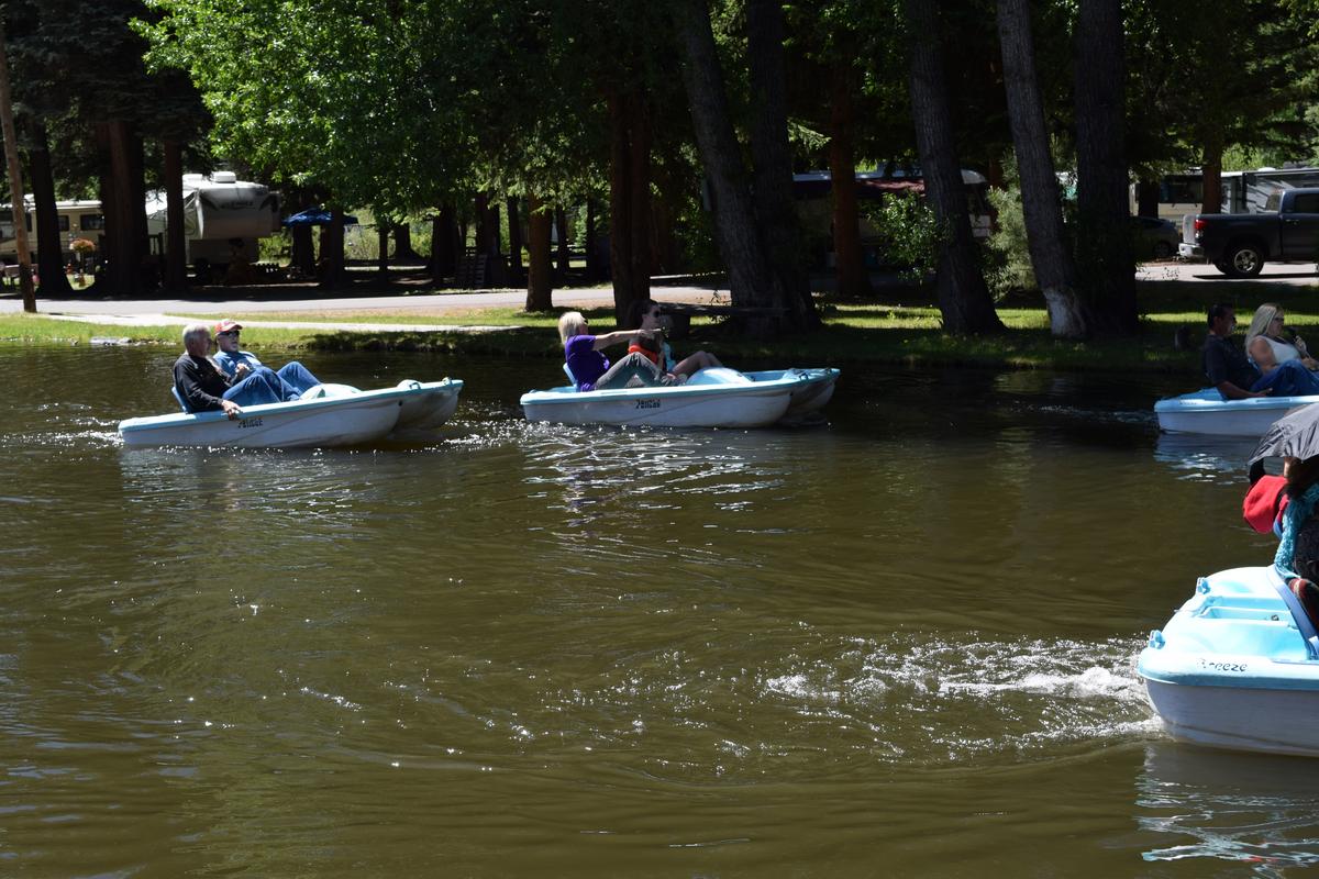 Paddle_Boat_Race__12_.jpg