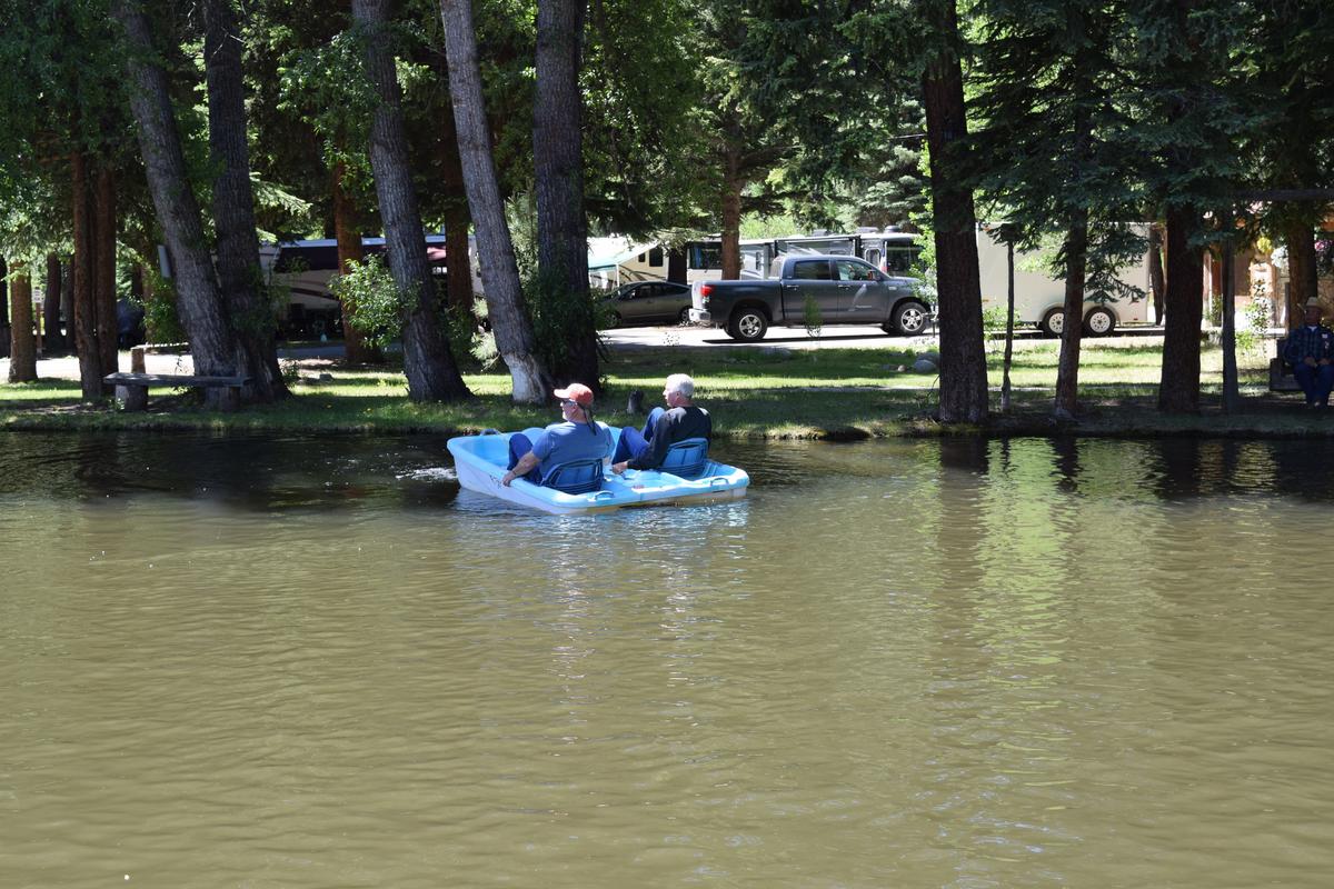 Paddle_Boat_Race__13_.jpg