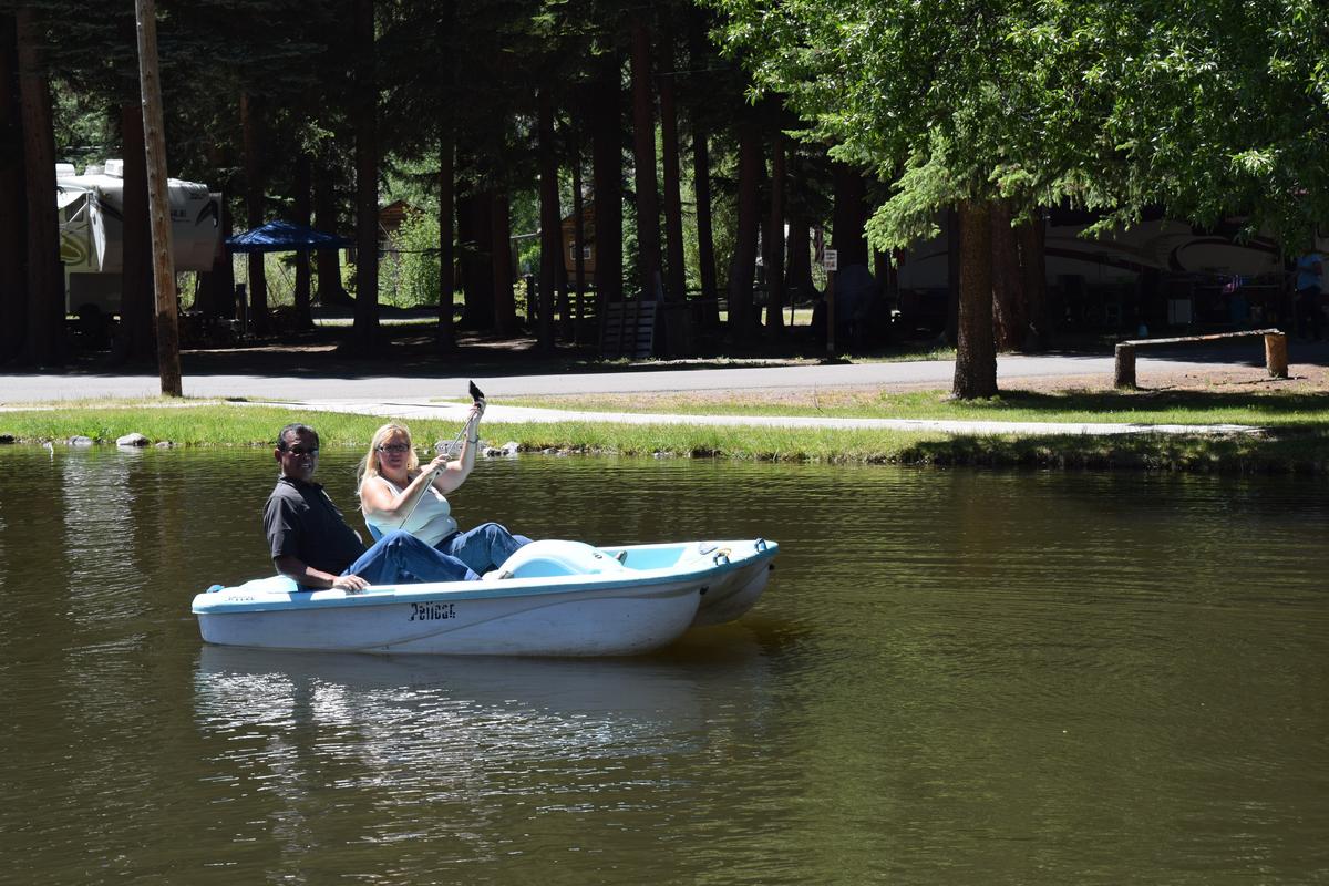 Paddle_Boat_Race__7_.jpg