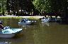 Paddle_Boat_Race__10_.jpg