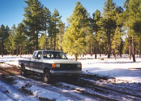 Out in the Truck